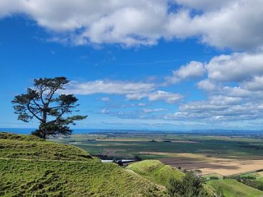 Papamoa Hills Cultural Heritage Regional Park